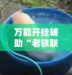 万能开挂辅助“老铁联盟辅助器免费版”科技辅助神器手机版