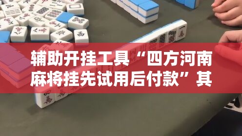 辅助开挂工具“四方河南麻将挂先试用后付款”其实确实有挂