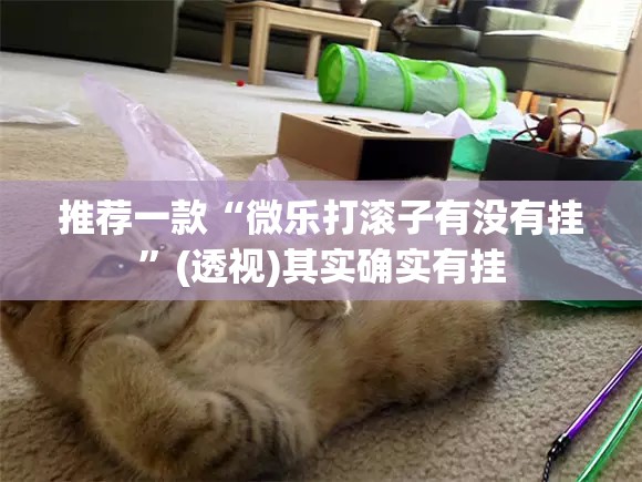 推荐一款“微乐打滚子有没有挂”(透视)其实确实有挂