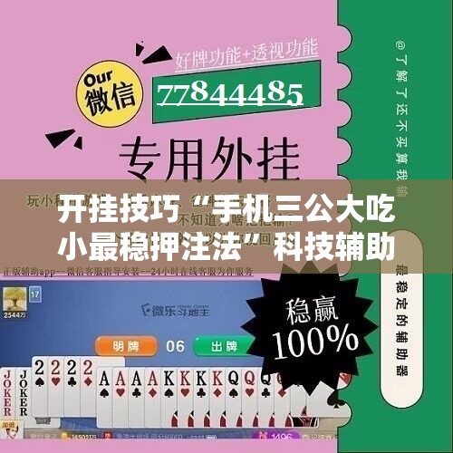 开挂技巧“手机三公大吃小最稳押注法”科技辅助神器手机版