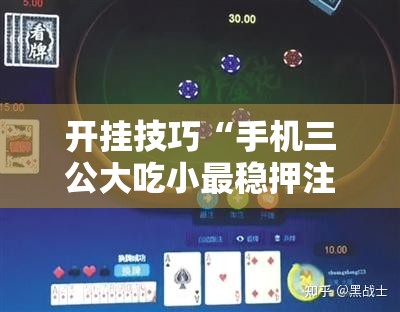 开挂技巧“手机三公大吃小最稳押注法”科技辅助神器手机版