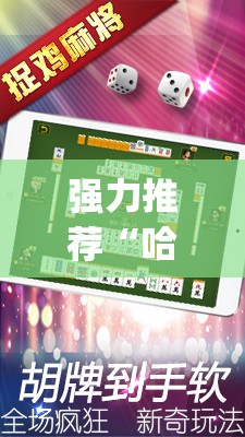强力推荐“哈哈贵阳捉鸡麻将特点开挂是不是真的(透视)	”开挂辅助脚本+详细开挂安装教程