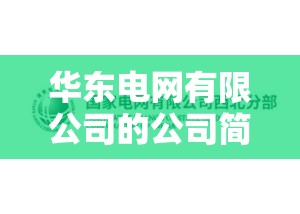 华东电网有限公司的公司简介
