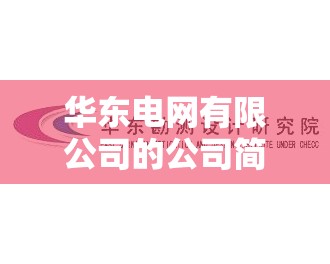 华东电网有限公司的公司简介