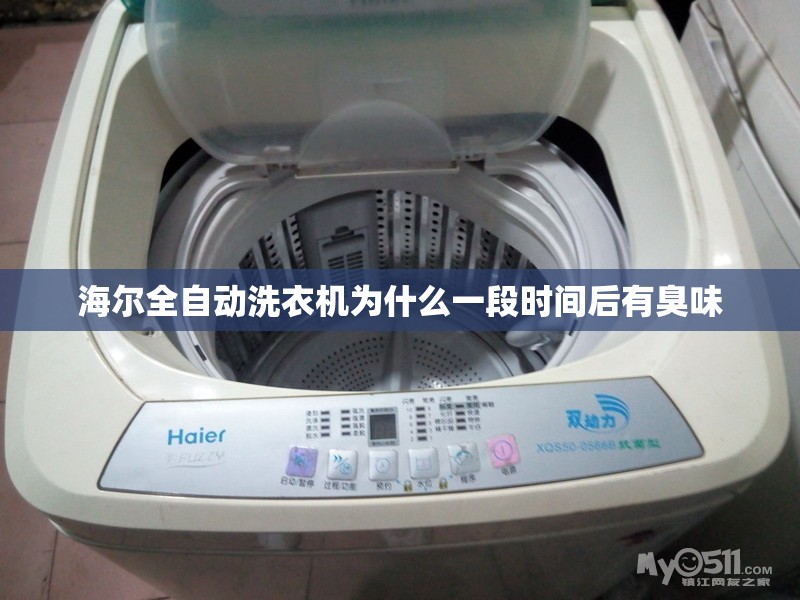 海尔全自动洗衣机为什么一段时间后有臭味