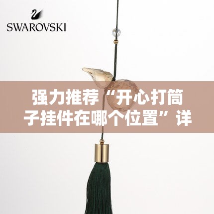 强力推荐“开心打筒子挂件在哪个位置”详细开挂教程