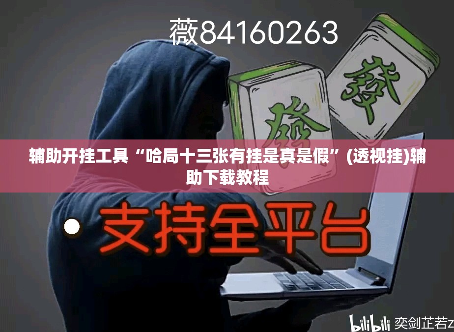 辅助开挂工具“哈局十三张有挂是真是假”(透视挂)辅助下载教程