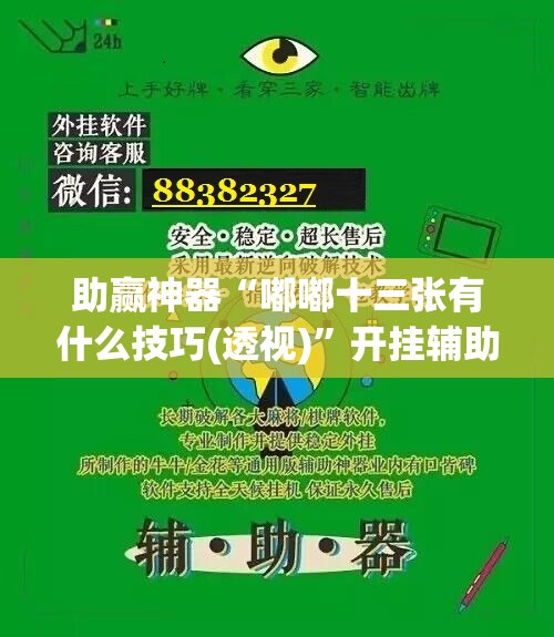 助赢神器“嘟嘟十三张有什么技巧(透视)”开挂辅助脚本+详细开挂安装教程