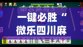 一键必胜“微乐四川麻将免费挂教程	”开挂(透视)辅助神器