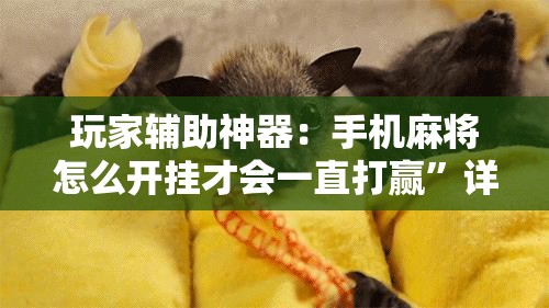 玩家辅助神器：手机麻将怎么开挂才会一直打赢”详细分享装挂步骤