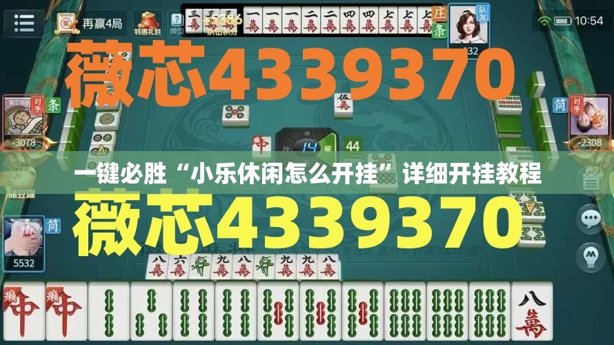 一键必胜“小乐休闲怎么开挂	”详细开挂教程