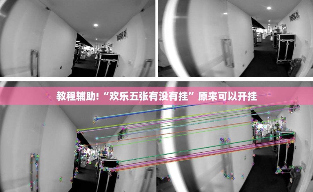 教程辅助!“欢乐五张有没有挂”原来可以开挂