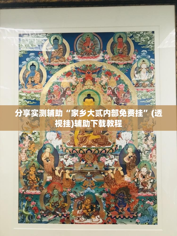 分享实测辅助“家乡大贰内部免费挂”(透视挂)辅助下载教程
