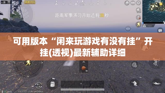 可用版本“闲来玩游戏有没有挂”开挂(透视)最新辅助详细
