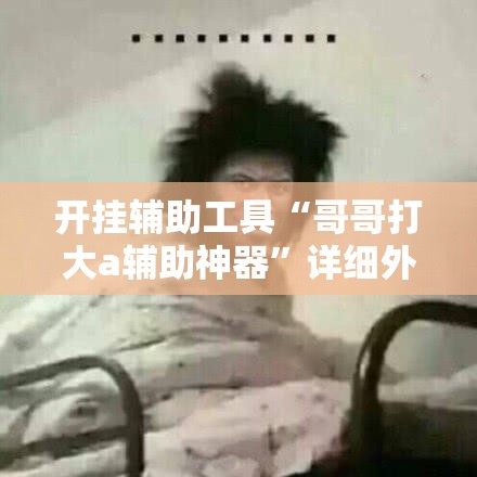 开挂辅助工具“哥哥打大a辅助神器”详细外挂透视辅助软件教程