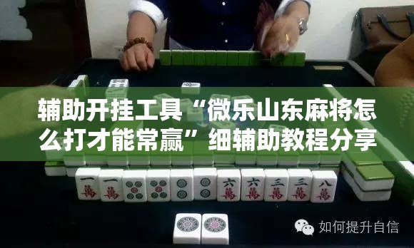 辅助开挂工具“微乐山东麻将怎么打才能常赢”细辅助教程分享