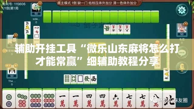 辅助开挂工具“微乐山东麻将怎么打才能常赢”细辅助教程分享