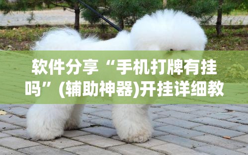 软件分享“手机打牌有挂吗”(辅助神器)开挂详细教程