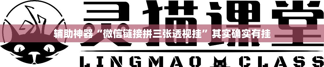 辅助神器“微信链接拼三张透视挂	”其实确实有挂