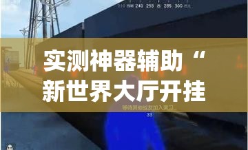 实测神器辅助“新世界大厅开挂透视	”(透视)其实确实有挂