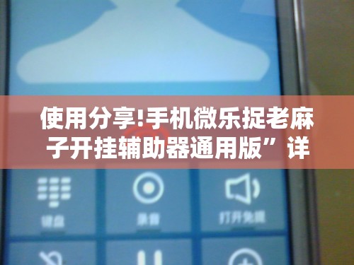 使用分享!手机微乐捉老麻子开挂辅助器通用版”详细分享装挂步骤