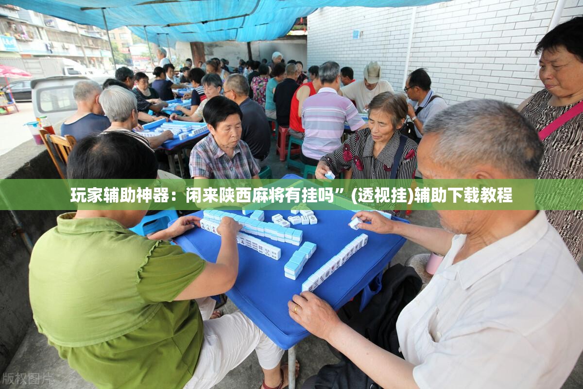 玩家辅助神器：闲来陕西麻将有挂吗”(透视挂)辅助下载教程