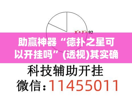 助赢神器“德扑之星可以开挂吗”(透视)其实确实有挂