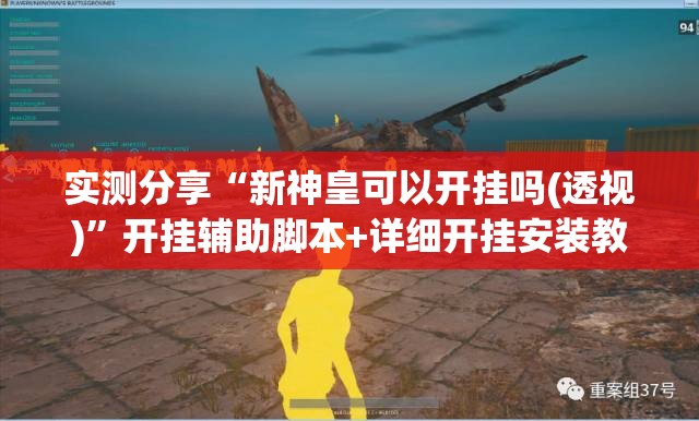 实测分享“新神皇可以开挂吗(透视)	”开挂辅助脚本+详细开挂安装教程
