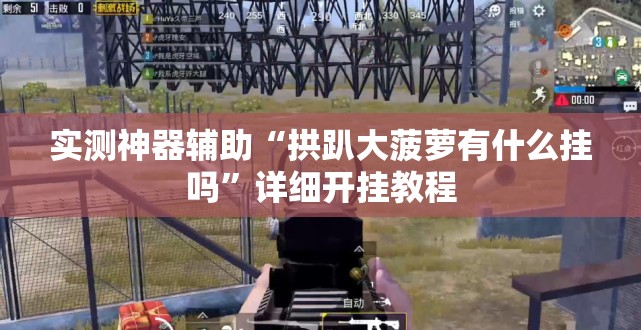 实测神器辅助“拱趴大菠萝有什么挂吗	”详细开挂教程