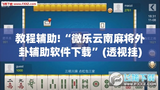 教程辅助!“微乐云南麻将外卦辅助软件下载”(透视挂)辅助下载教程