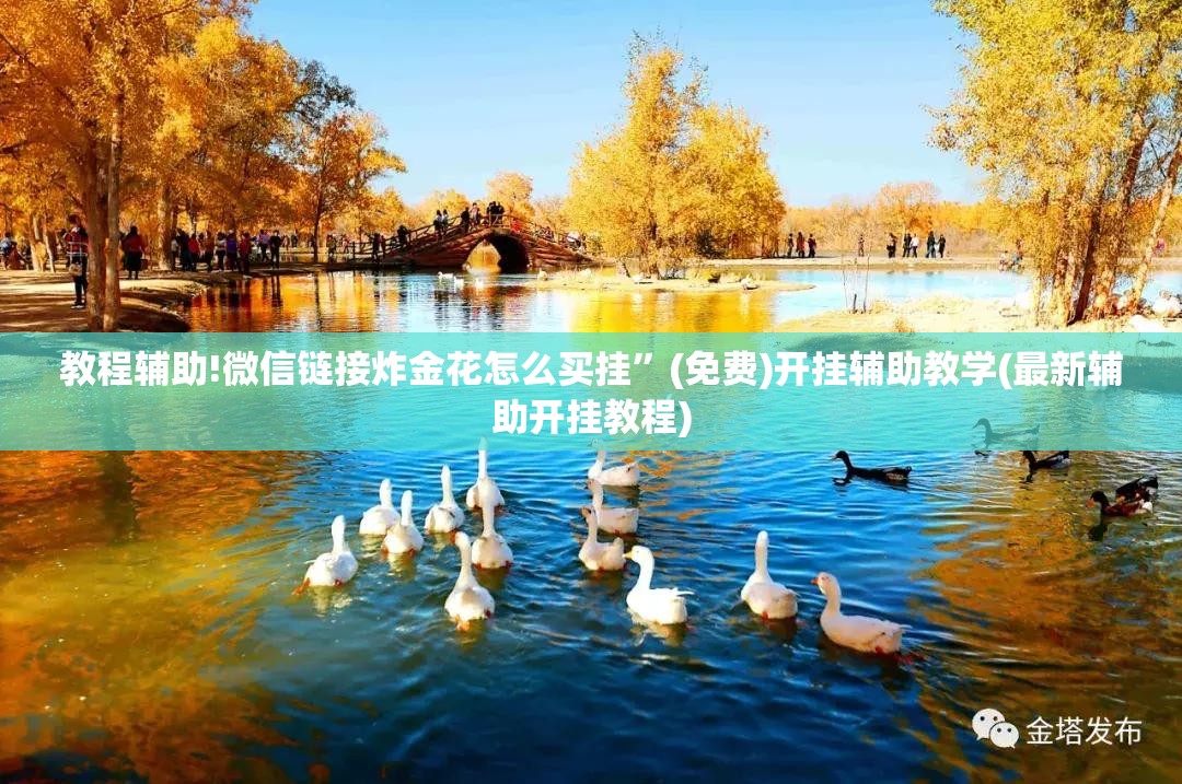 教程辅助!微信链接炸金花怎么买挂”(免费)开挂辅助教学(最新辅助开挂教程)