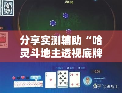 分享实测辅助“哈灵斗地主透视底牌”科技辅助神器手机版
