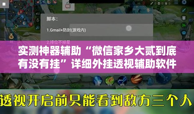 实测神器辅助“微信家乡大贰到底有没有挂”详细外挂透视辅助软件教程