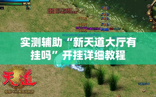 实测辅助“新天道大厅有挂吗”开挂详细教程