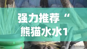 强力推荐“熊猫水水13张有挂嘛”(透视)其实确实有挂