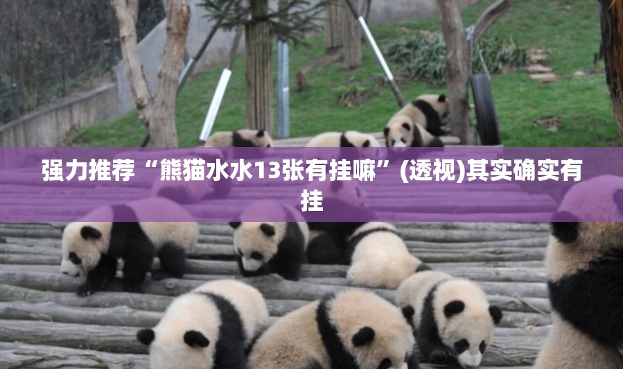 强力推荐“熊猫水水13张有挂嘛	”(透视)其实确实有挂