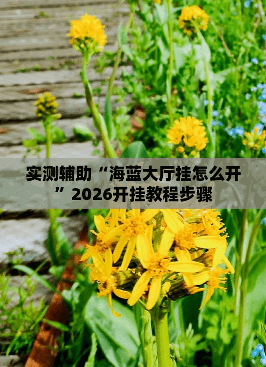 实测辅助“海蓝大厅挂怎么开”2026开挂教程步骤