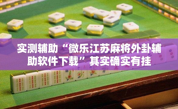 实测辅助“微乐江苏麻将外卦辅助软件下载”其实确实有挂