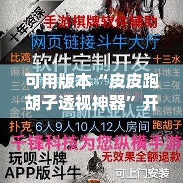可用版本“皮皮跑胡子透视神器	”开挂(透视)辅助神器