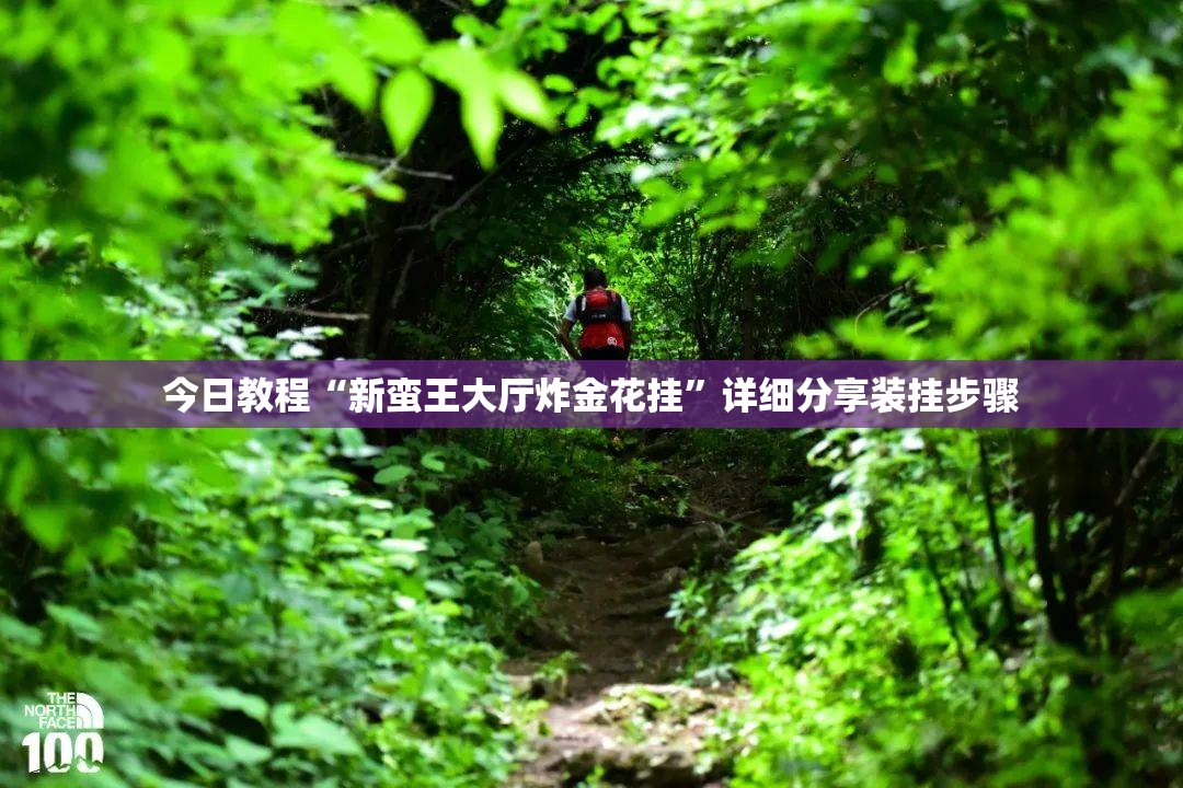 今日教程“新蛮王大厅炸金花挂”详细分享装挂步骤