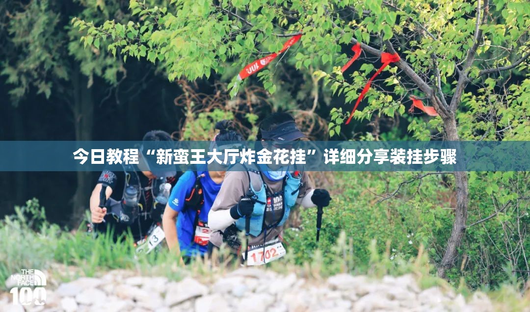 今日教程“新蛮王大厅炸金花挂	”详细分享装挂步骤