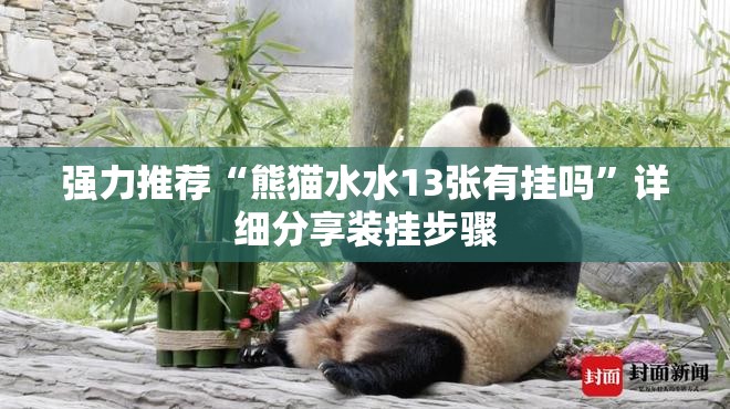 强力推荐“熊猫水水13张有挂吗”详细分享装挂步骤