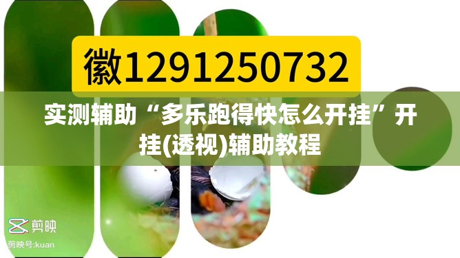 实测辅助“多乐跑得快怎么开挂”开挂(透视)辅助教程