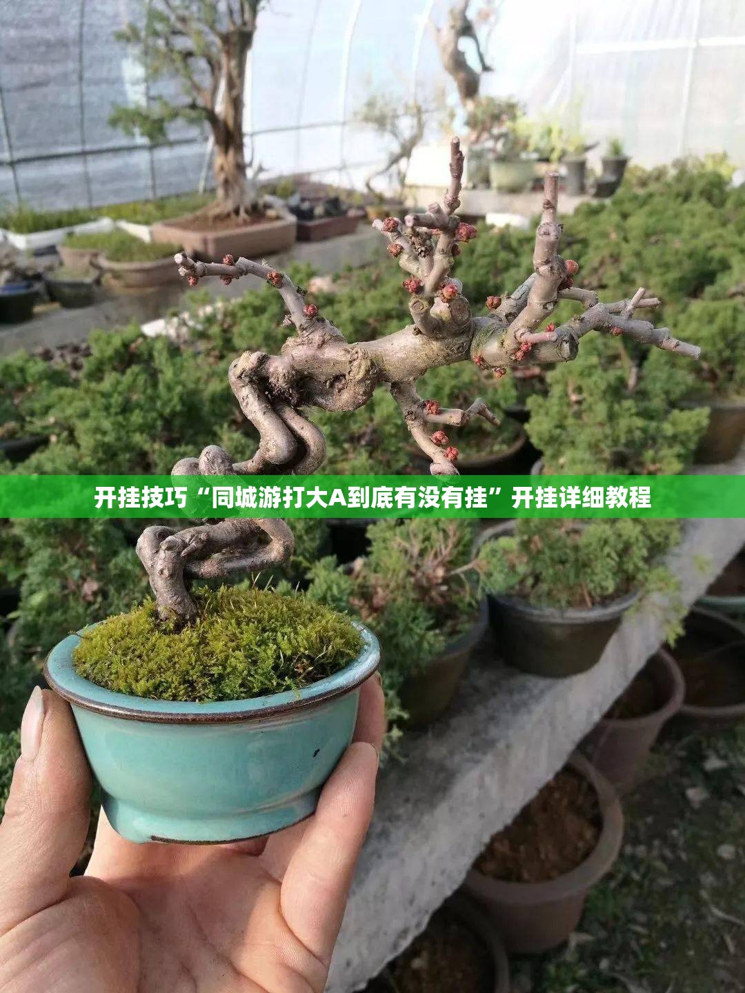 开挂技巧“同城游打大A到底有没有挂”开挂详细教程