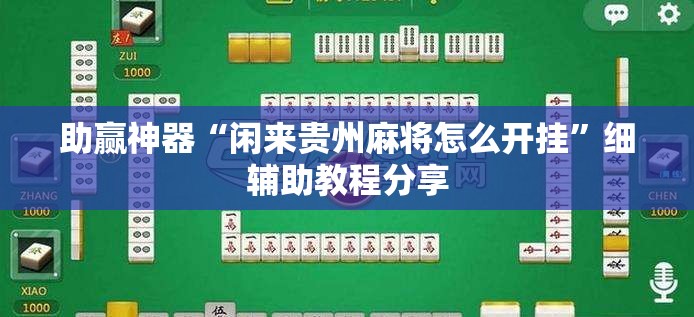 助赢神器“闲来贵州麻将怎么开挂”细辅助教程分享