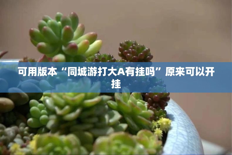 可用版本“同城游打大A有挂吗	”原来可以开挂