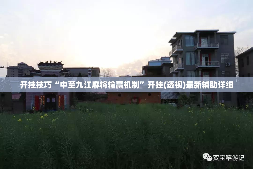 开挂技巧“中至九江麻将输赢机制”开挂(透视)最新辅助详细