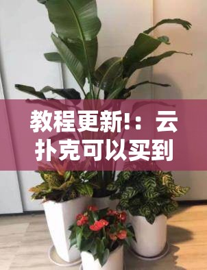 教程更新!：云扑克可以买到挂吗”细辅助教程分享