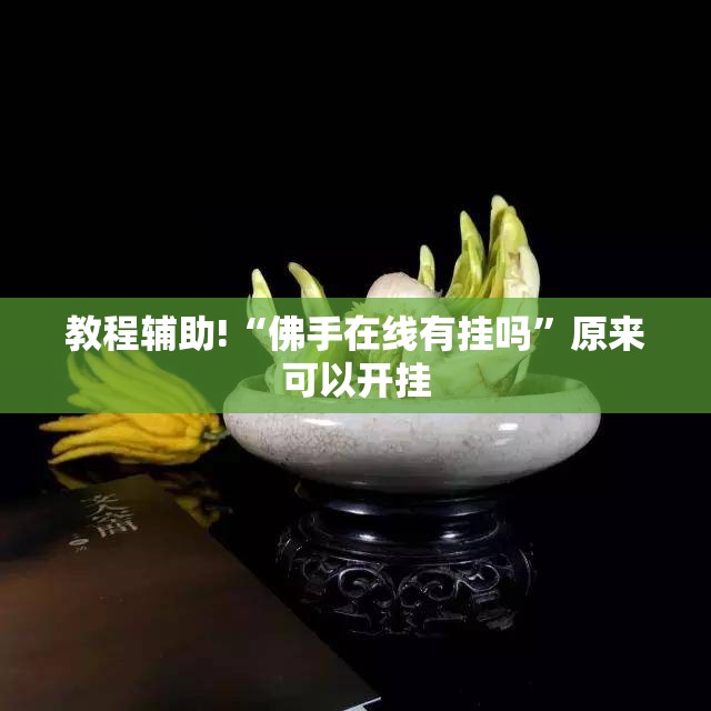 教程辅助!“佛手在线有挂吗”原来可以开挂