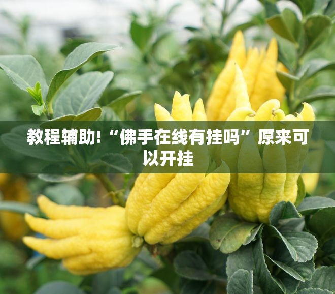 教程辅助!“佛手在线有挂吗”原来可以开挂